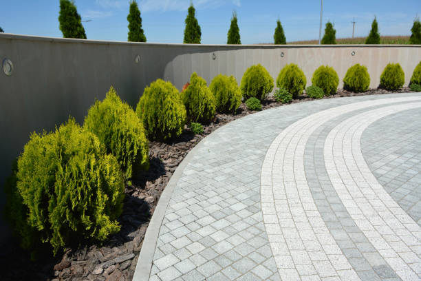 Best Decorative Driveway Pavers  in Fords Prairie, WA